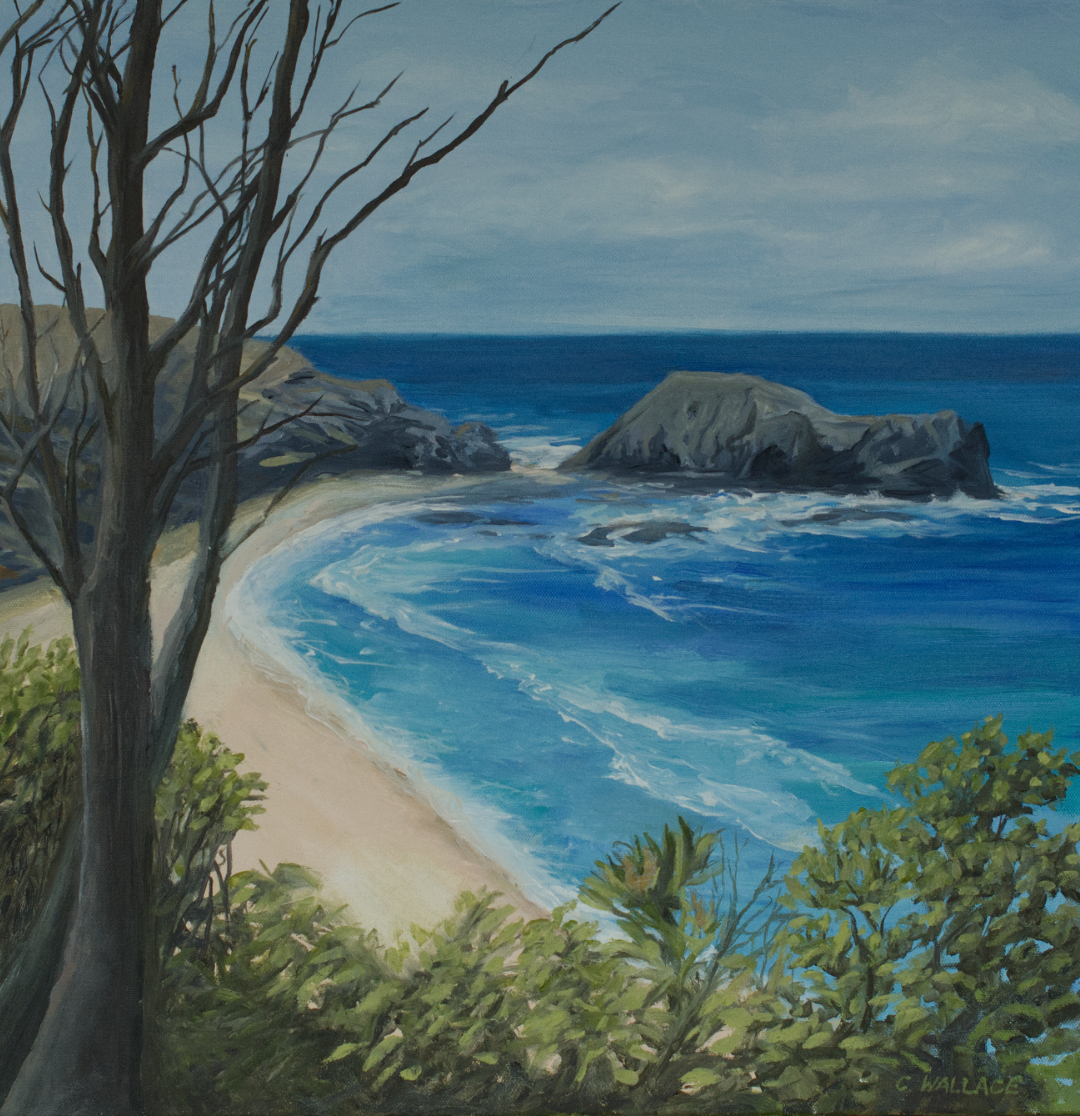 Cathy Wallace_Hero image 2_First View Bushranger's Bay.jpg