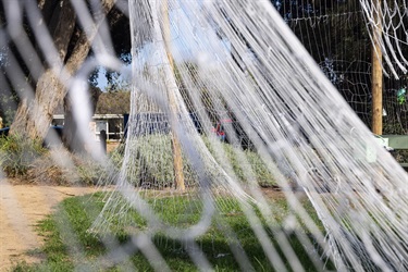 Image 2 @p1xels, Public Art by Chaco Kato 