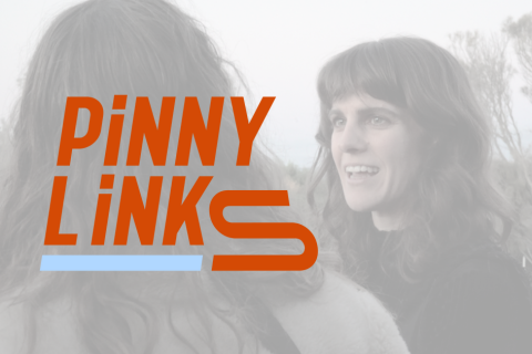 Pinny_Links_480x320 (2).png