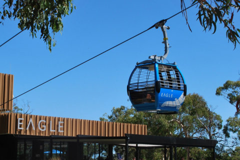 Arthurs-Seat-Eagle-480x320.png