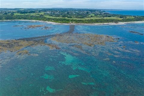 Mushroom-Reef-Aerial-Feb-24.jpg