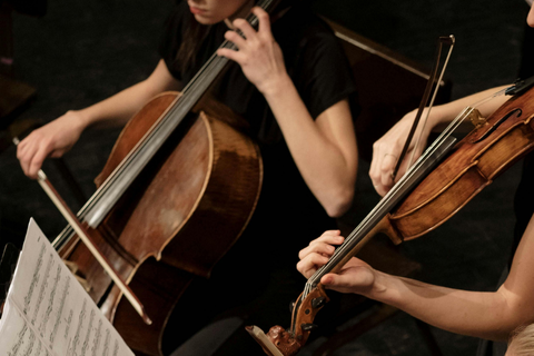 Pen_Chamber_Musician_Website.png