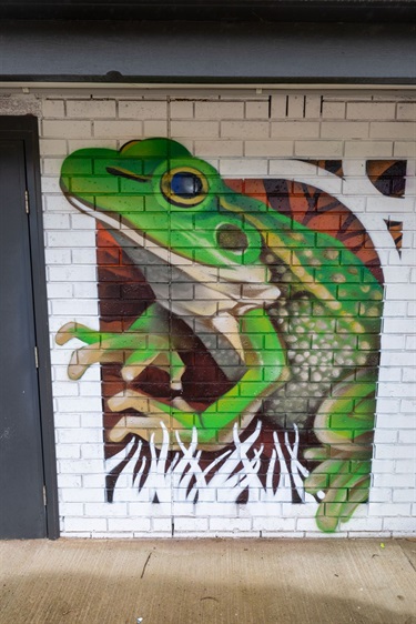 Crib-Point-Pool-mural-frog.jpg
