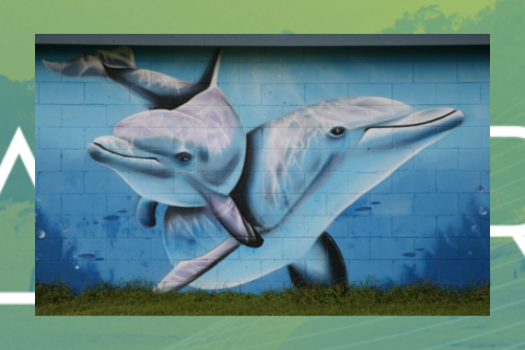 Artrek-Capel-Sound-Dolphin-banner.png