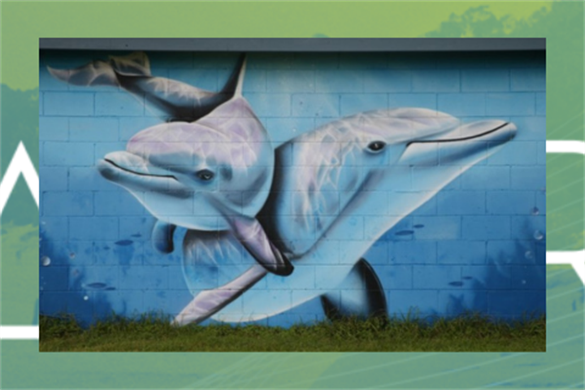 ARTREK - Capel Sound Dolphin Mural - Our Arts & Culture