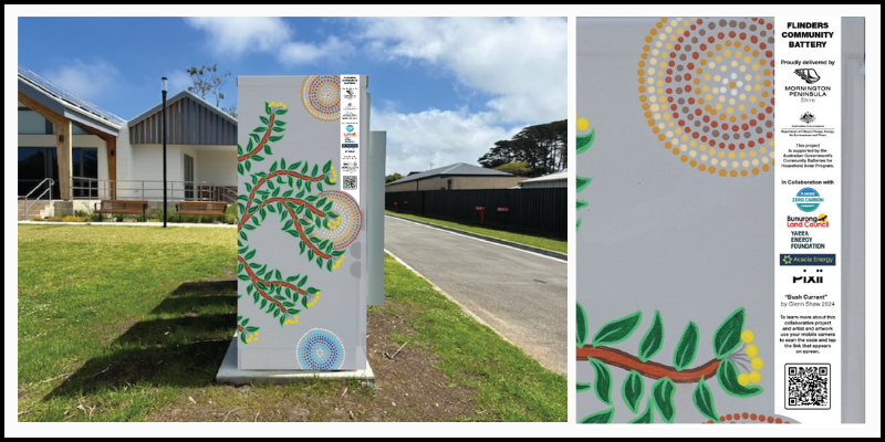 Flinders-Community-Art-Project.png